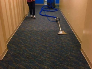 Color Revival Carpet Cleaning in Oklahoma City, OK