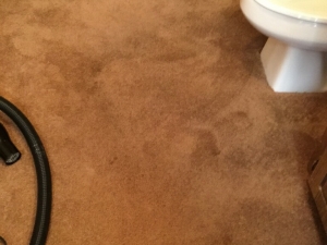 Bleach Spot & Carpet Stain Removal at All America Bank in OKC
