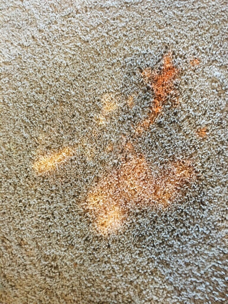 Bleach Spot Repair in Edmond, OK