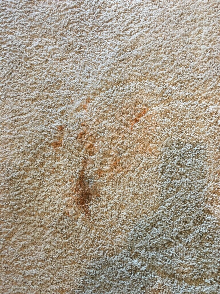 Bleach Spot Repair in Edmond, OK