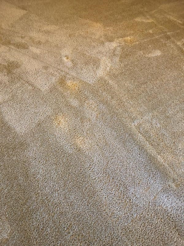 Bleach Repair & Coffee Stain Removal in Oklahoma City, OK