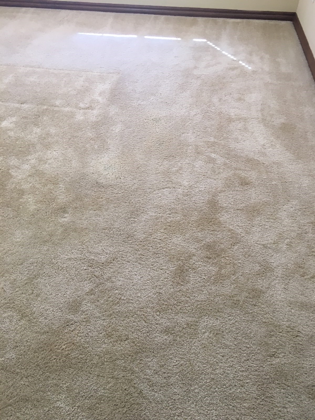 Bleach Repair & Coffee Stain Removal in Oklahoma City, OK