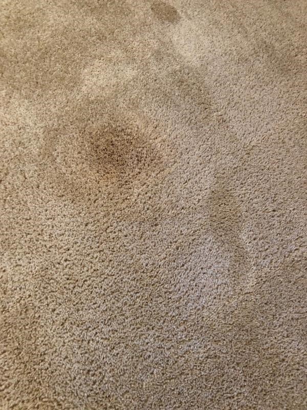 Bleach Repair & Coffee Stain Removal in Oklahoma City, OK