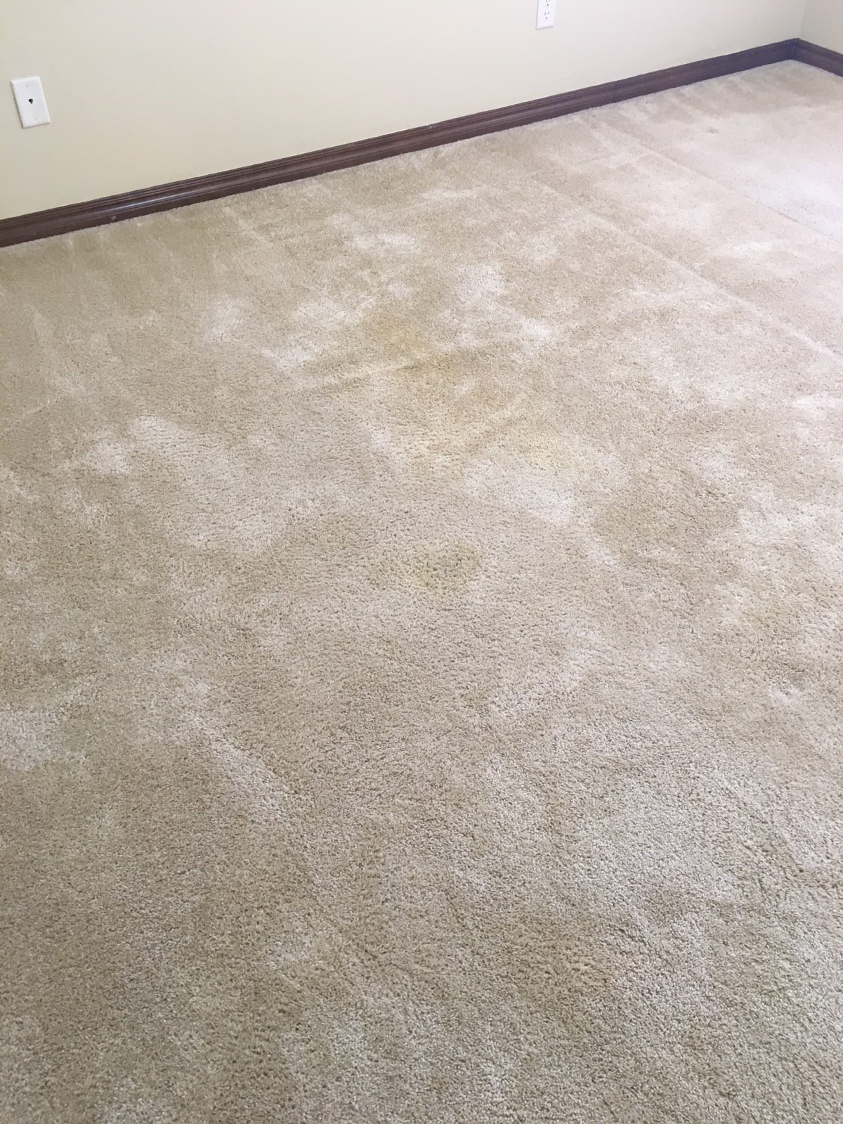 Bleach Repair & Coffee Stain Removal in Oklahoma City, OK