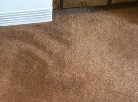 Bleach Spot & Carpet Stain Removal at All America Bank in OKC