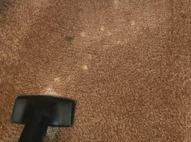 Bleach Spot & Carpet Stain Removal at All America Bank in OKC