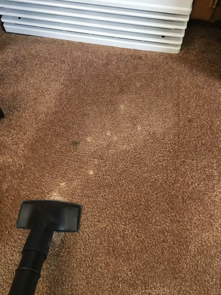 Bleach Spot & Carpet Stain Removal at All America Bank in OKC