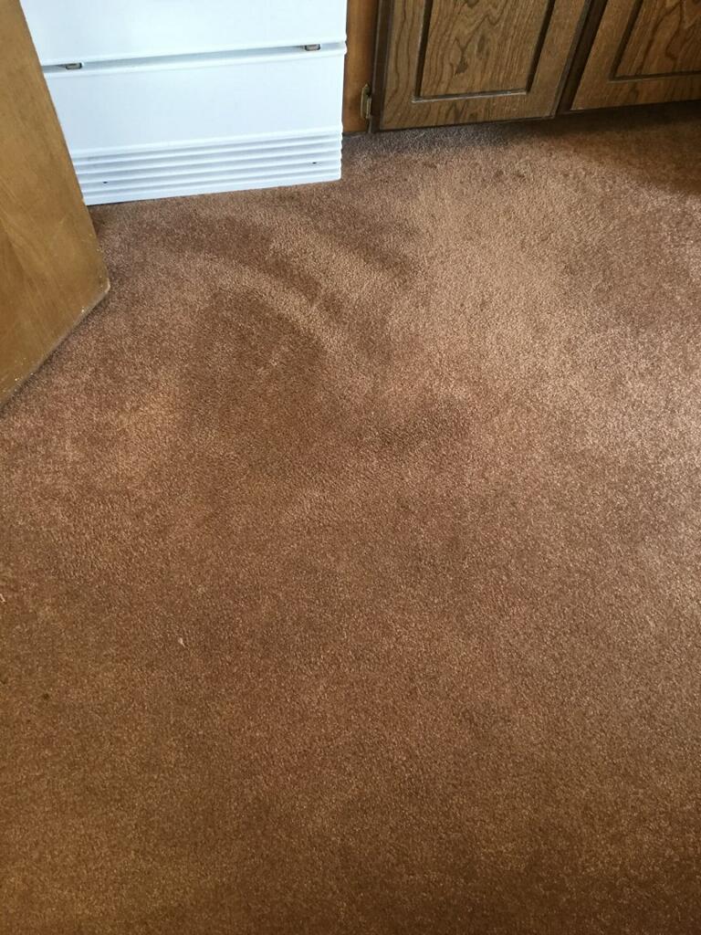 Bleach Spot & Carpet Stain Removal at All America Bank in OKC