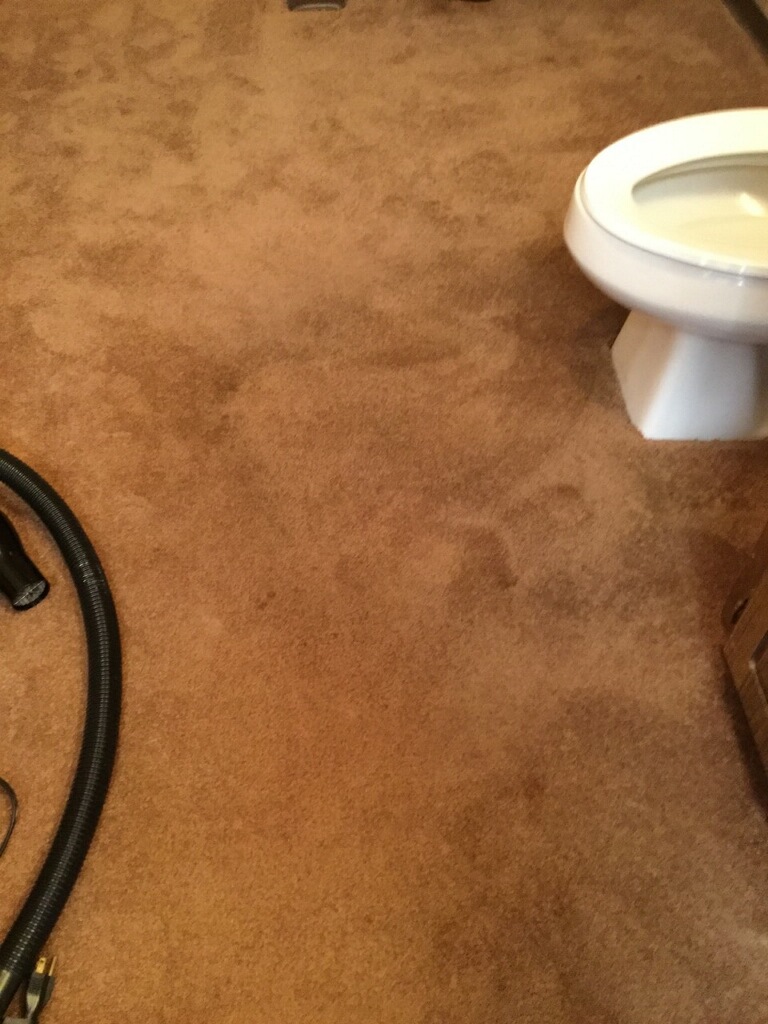 Bleach Spot & Carpet Stain Removal at All America Bank in OKC