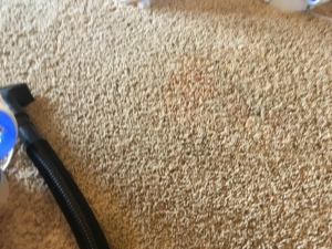 Bleach Spot Repair in Edmond, OK