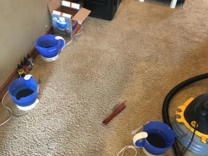 Bleach Spot Repair in Edmond, OK