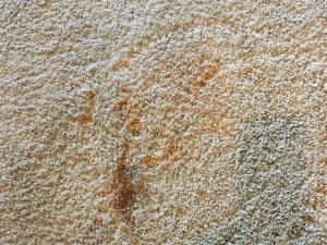 Bleach Spot Repair in Edmond, OK