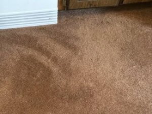 Bleach Spot & Carpet Stain Removal at All America Bank in OKC