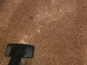 Bleach Spot & Carpet Stain Removal at All America Bank in OKC