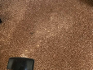 Bleach Spot & Carpet Stain Removal at All America Bank in OKC