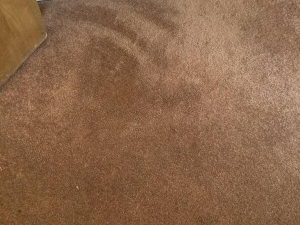 Bleach Spot & Carpet Stain Removal at All America Bank in OKC